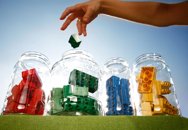 cult of classification inset